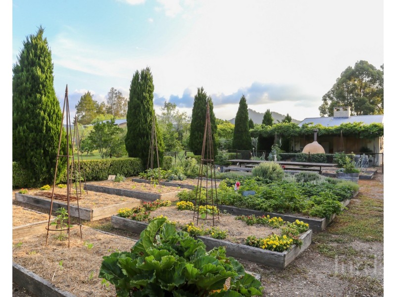 712 Wollombi Road, Broke NSW 2330