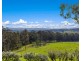 201 Wollong Road, Quorrobolong NSW 2325