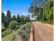201 Wollong Road, Quorrobolong NSW 2325