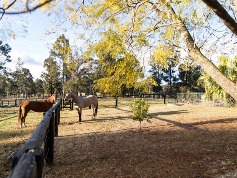 32 Elrington Drive, Elrington NSW 2325