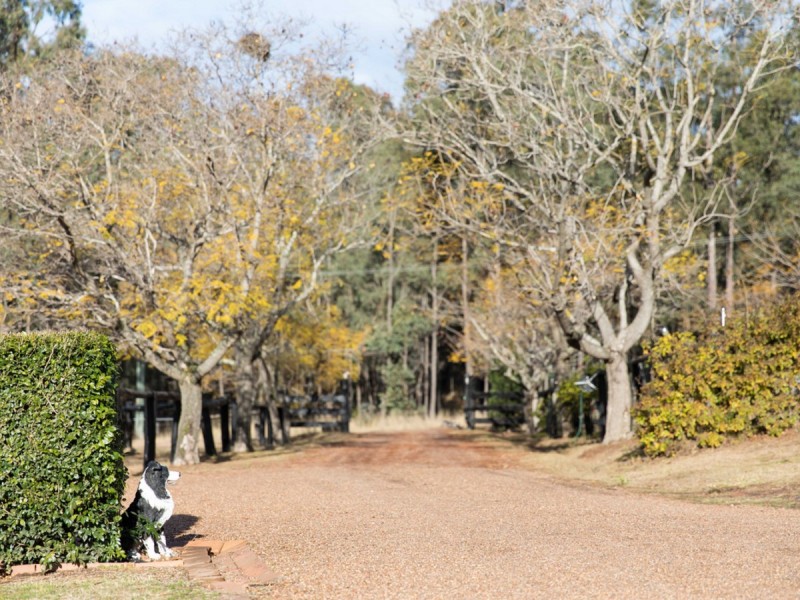 32 Elrington Drive, Elrington NSW 2325