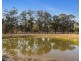 1131 Sandy Creek Road, Quorrobolong NSW 2325