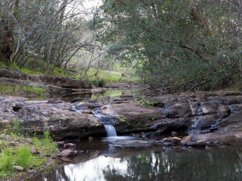 Mount Vincent NSW 2323