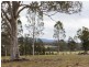 95 Wallaby Gully Road, Ellalong NSW 2325