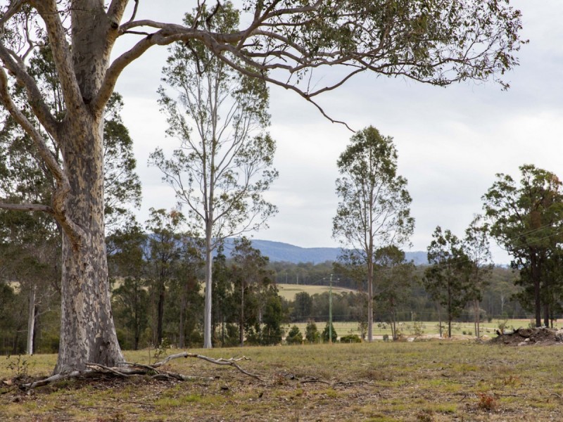 95 Wallaby Gully Road, Ellalong NSW 2325