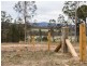 95 Wallaby Gully Road, Ellalong NSW 2325