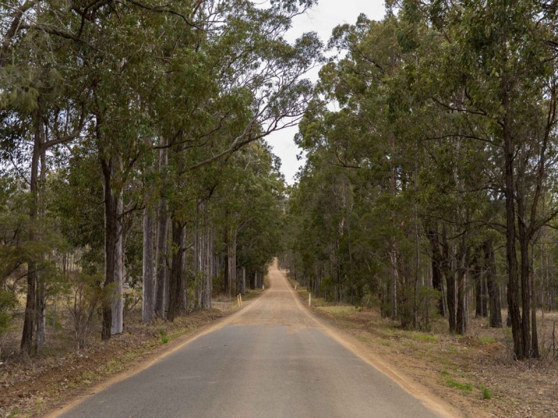 95 Wallaby Gully Road, Ellalong NSW 2325