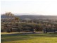 836 Luskintyre Road, Luskintyre NSW 2321