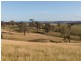 836 Luskintyre Road, Luskintyre NSW 2321