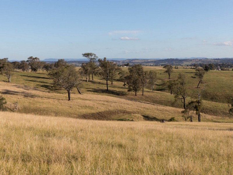 836 Luskintyre Road, Luskintyre NSW 2321