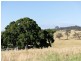 836 Luskintyre Road, Luskintyre NSW 2321