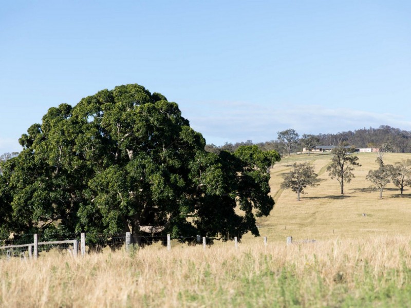 836 Luskintyre Road, Luskintyre NSW 2321