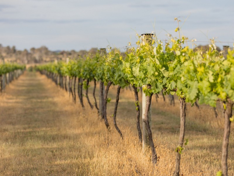 2918 Barton Highway, Murrumbateman NSW 2582