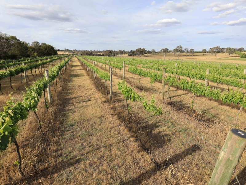 2918 Barton Highway, Murrumbateman NSW 2582