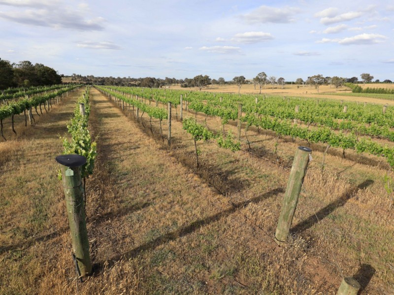 2918 Barton Highway, Murrumbateman NSW 2582