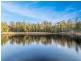 77 Wilderness Road, Lovedale NSW 2325