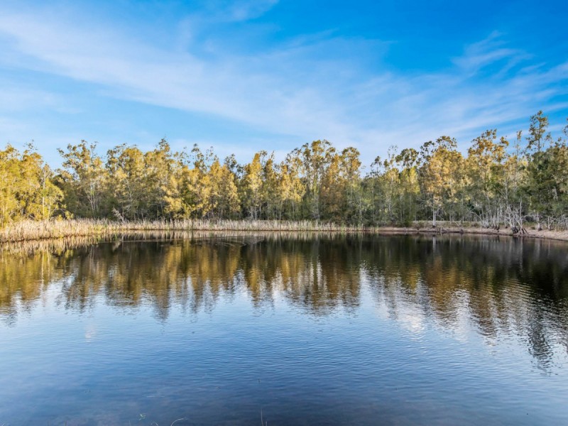 77 Wilderness Road, Lovedale NSW 2325