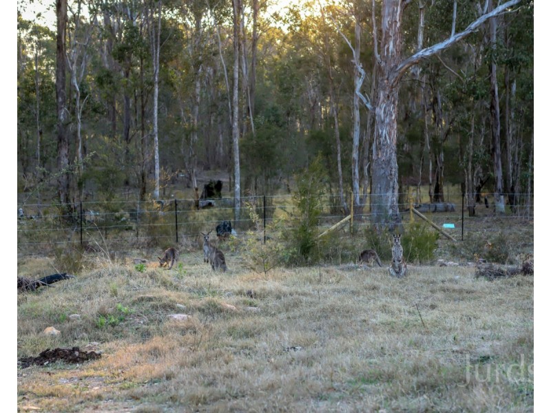 8 Redgum Road, Paxton NSW 2325