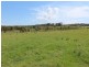 22 Ferrier Street, Clarence Town NSW 2321