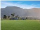 125 Adams Peak Road, Broke NSW 2330