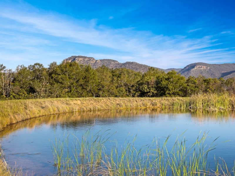 125 Adams Peak Road, Broke NSW 2330