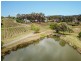 Lot 34 Kelman Estate, Pokolbin NSW 2320