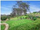 272 Wollong Road, Quorrobolong NSW 2325