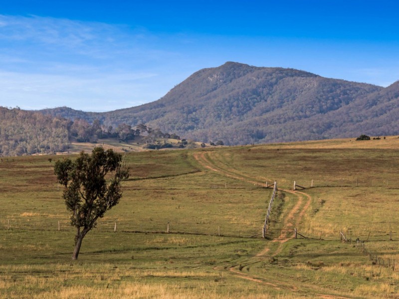 317c Elderslie Road, Branxton NSW 2335