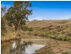 317c Elderslie Road, Branxton NSW 2335