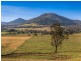 317c Elderslie Road, Branxton NSW 2335