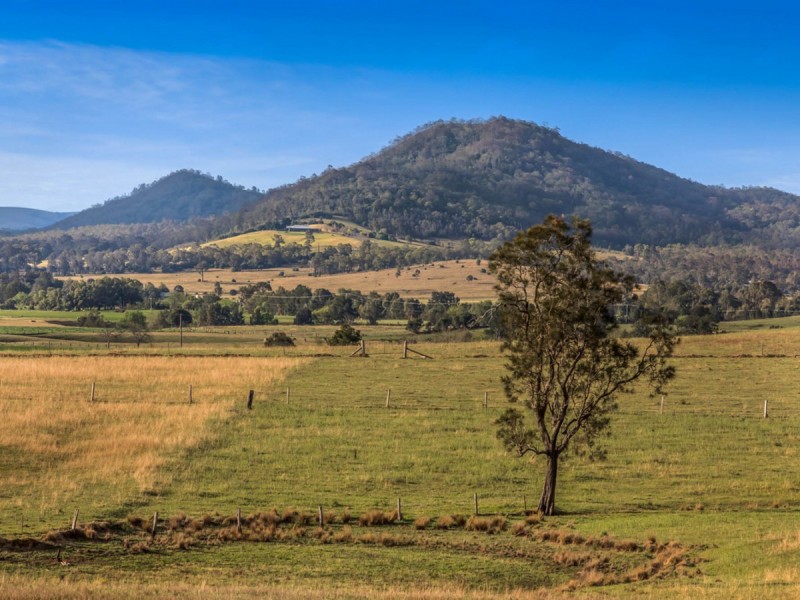 317c Elderslie Road, Branxton NSW 2335