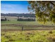 317c Elderslie Road, Branxton NSW 2335