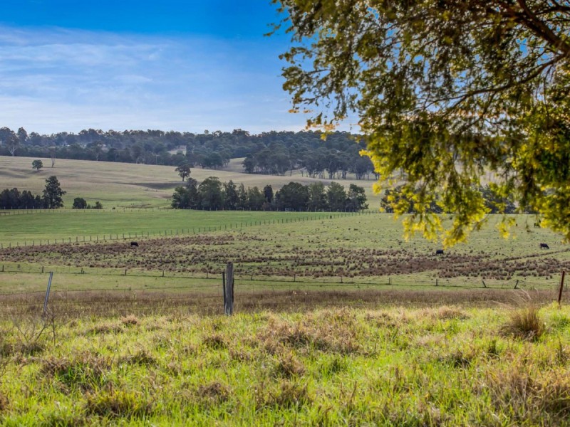 317c Elderslie Road, Branxton NSW 2335