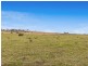 317c Elderslie Road, Branxton NSW 2335