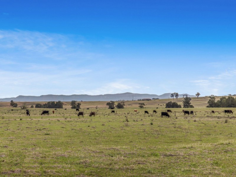 317c Elderslie Road, Branxton NSW 2335