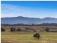 317c Elderslie Road, Branxton NSW 2335
