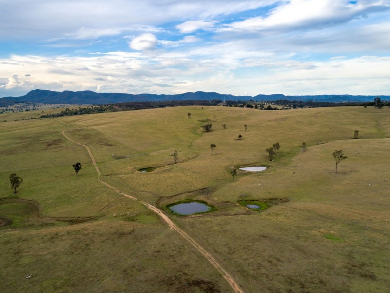 317c Elderslie Road, Branxton NSW 2335