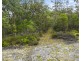 Paynes Crossing NSW 2325