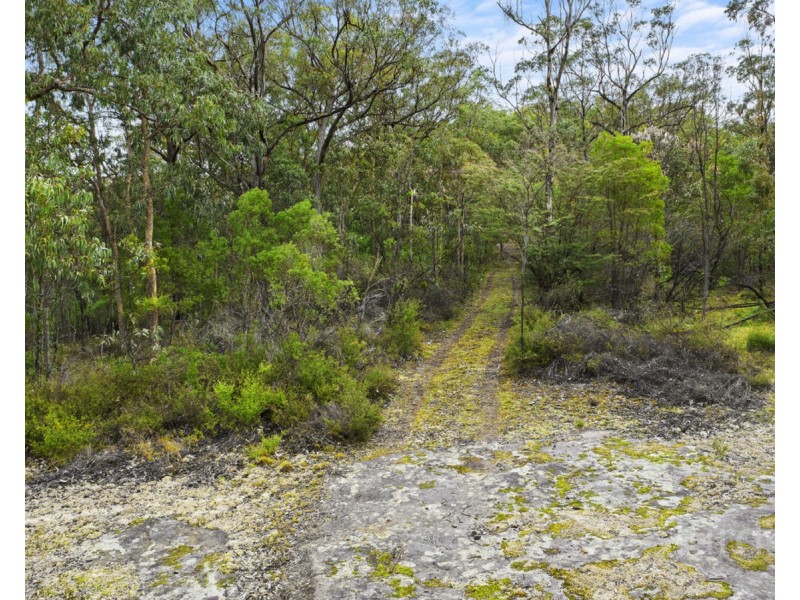 Paynes Crossing NSW 2325