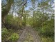 Paynes Crossing NSW 2325