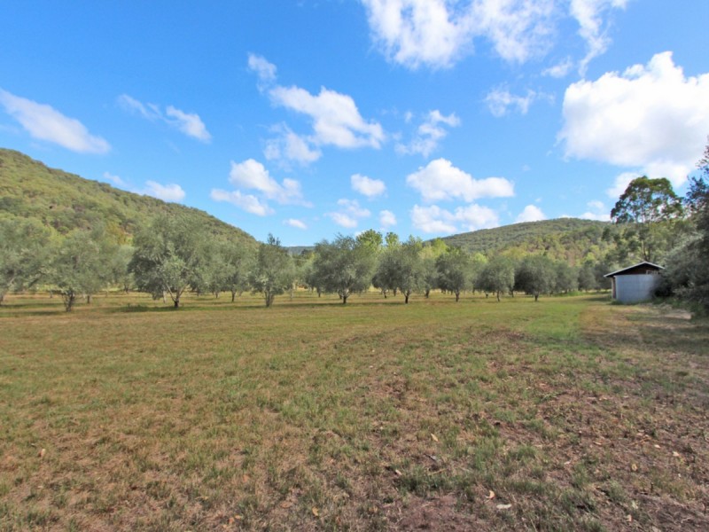 1855 Wollombi Road, Sweetmans Creek NSW 2325