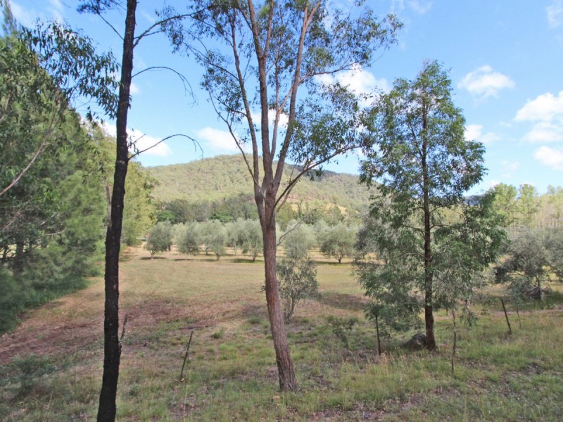 1855 Wollombi Road, Sweetmans Creek NSW 2325