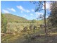 1855 Wollombi Road, Sweetmans Creek NSW 2325