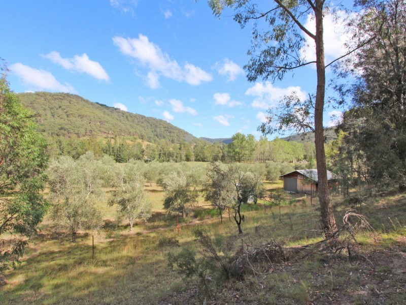 1855 Wollombi Road, Sweetmans Creek NSW 2325