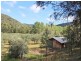 1855 Wollombi Road, Sweetmans Creek NSW 2325