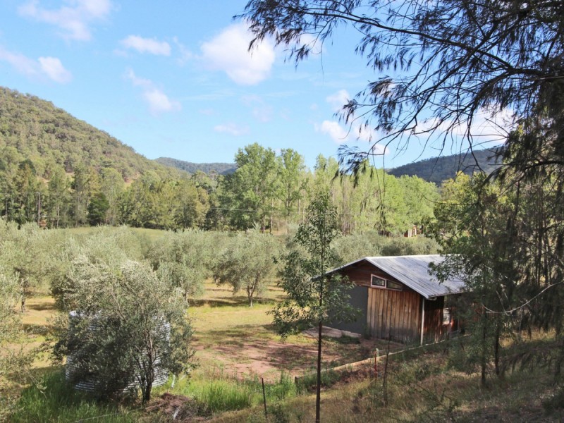 1855 Wollombi Road, Sweetmans Creek NSW 2325