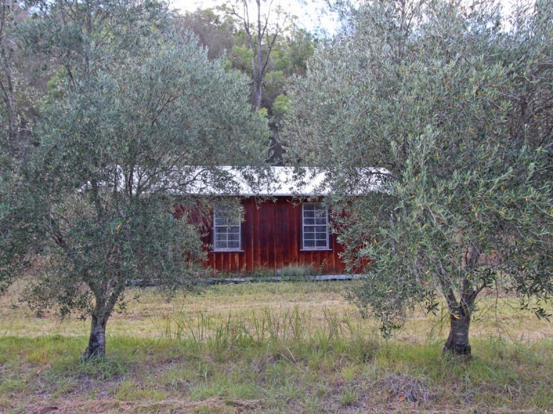 1855 Wollombi Road, Sweetmans Creek NSW 2325