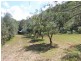 1855 Wollombi Road, Sweetmans Creek NSW 2325