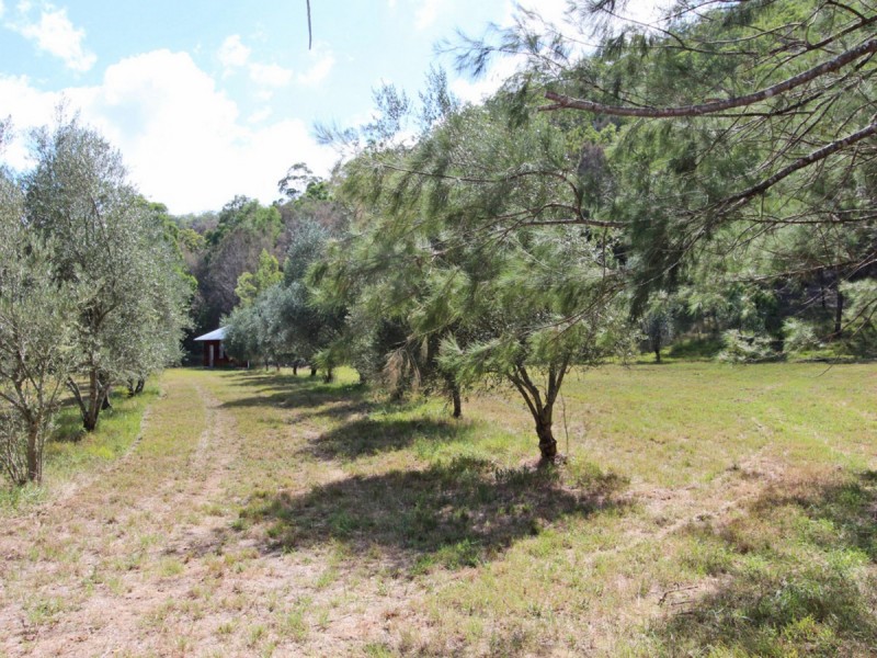 1855 Wollombi Road, Sweetmans Creek NSW 2325