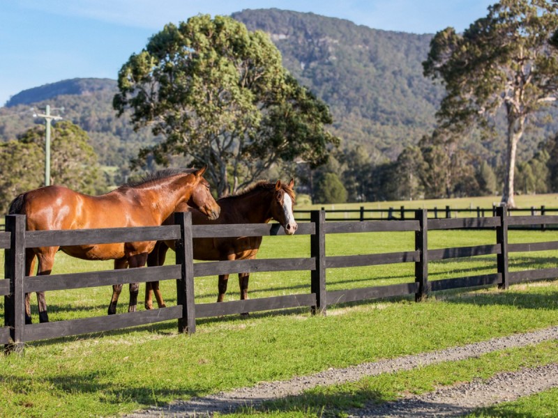 136 Whitings Lane, Quorrobolong NSW 2325